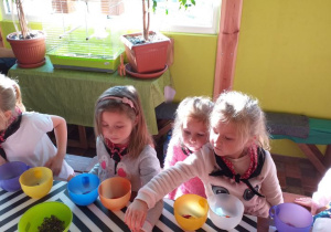 Dzieci podczas wykonywania mydełek, wybierają płatki różnych kwiatów do zatopienia w mydełku