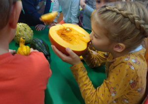 Dziewczynka wącha dynię