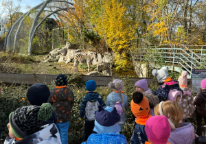 Dzieci oglądają zebry na wybiegu