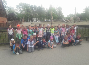 Jabłuszka w Zoo we Wrocławiu