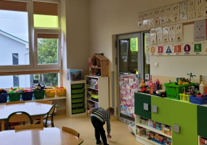Sala Lisów
