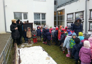 Oglądanie skoczni