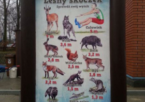 Plansza dydaktyczna