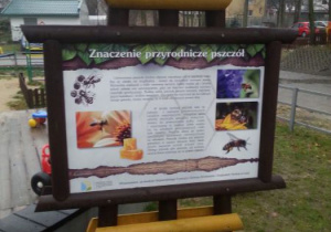 Znaczenie przyrodnicze pszczół