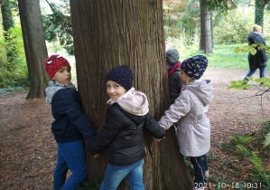 Dzieci przytulają drzewo