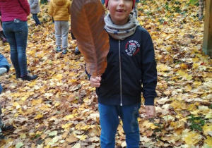 Chłopiec trzyma w rączce ogromnego liścia