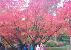Zdjęcie dzieci pod klonem z czerwonymi liśćmi