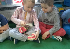 Dzieci podczas warsztatów, chłopiec szczotkuje zęby w szczęce treningowej