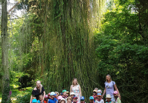 Dzieci z grupy Jabłuszka ze swoimi Ciociami pod drzewem