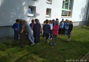 Dzieci podczas warsztatów w Ogródku dydaktycznym, oglądają zioła w gazonach