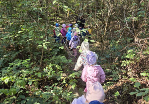 Dzieci idą leśną ścieżką