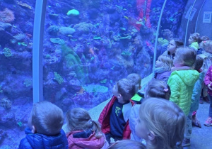 Dzieci w tunelu z rybami