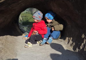 Dzieci obserwują kojota