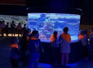 Orientarium w Łodzi