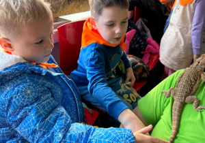 Dzieci głaszczą jaszczurkę