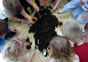 Dzieci nasypują ziemi do doniczek