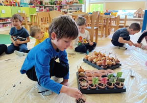 Dzieci podczas sadzenia i siania