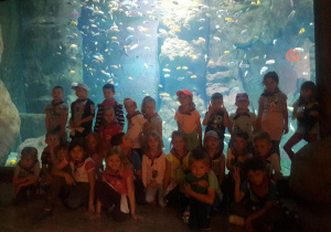 Zdjęcie grupowe Jabłuszek na tle ogromnego akwarium z rybkami